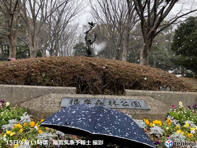 横浜で雪　気温は1度台　関東は雪降る寒さ