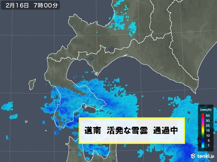 北海道　久しぶりに湿った重たい雪