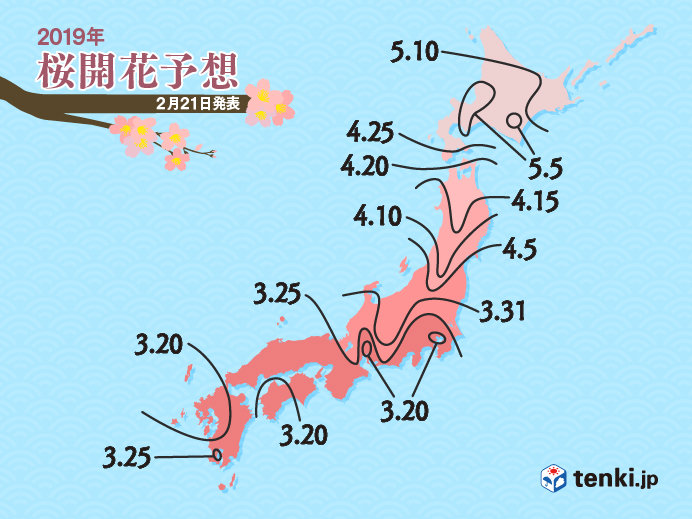 桜の開花予想が早まる　日本気象協会発表