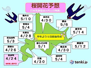 北海道　桜前線上陸まで2週間きる!