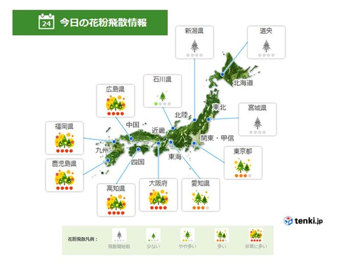 空気の乾燥と花粉に注意