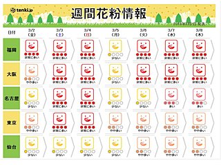 花粉に注意　非常に多く飛ぶ