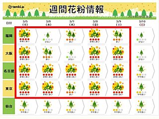 5日(火)、花粉の大量飛散に要注意