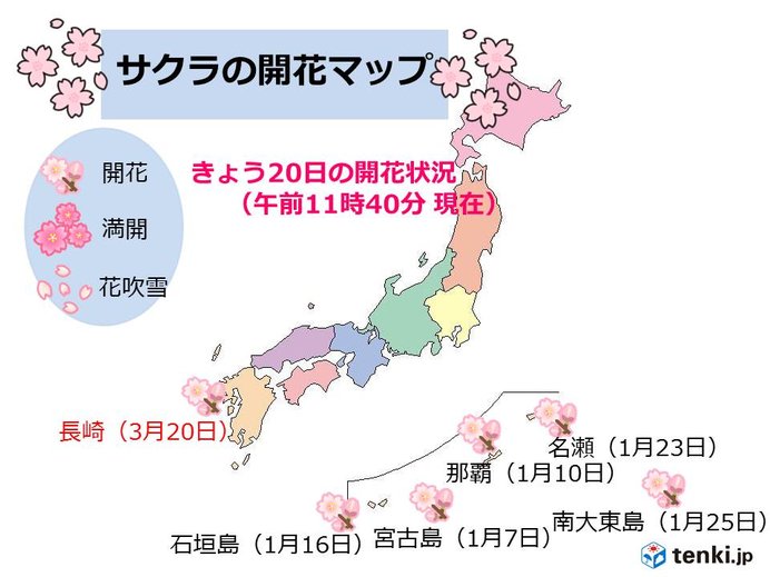 長崎で桜(ソメイヨシノ)開花　全国トップ