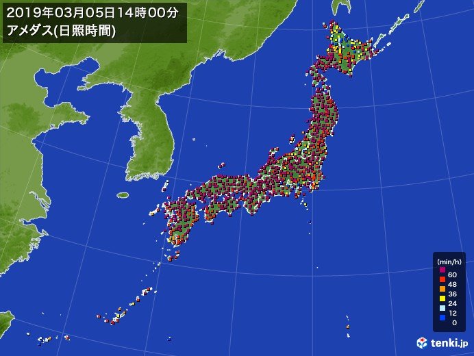 日差し暖か