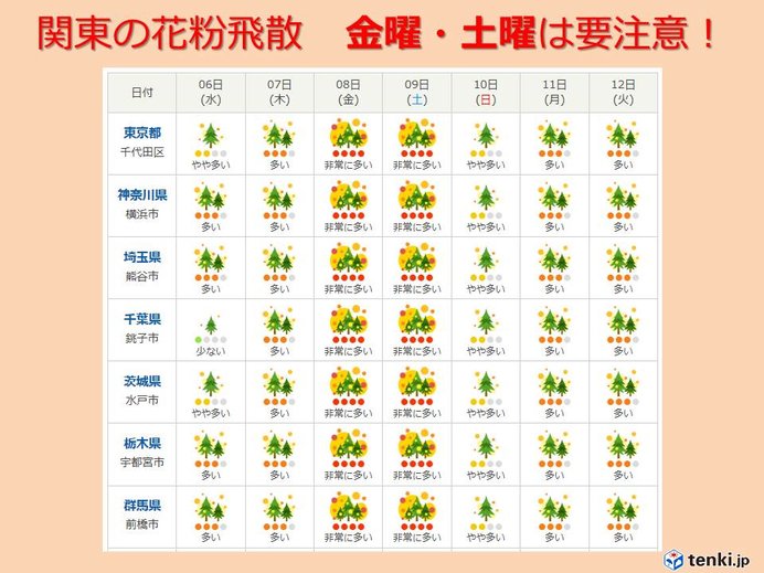 関東の花粉飛散　金曜・土曜は要注意