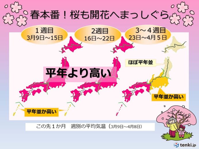 春本番へまっしぐら　桜前線も順調に　1か月