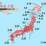 桜前線まであと10日　満開も予想　日本気象協会発表