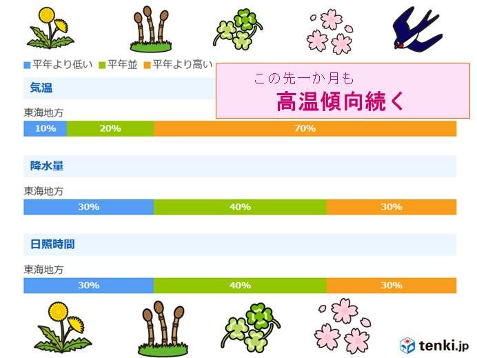 東海地方一か月予報　高温傾向続く　桜はどうなる?