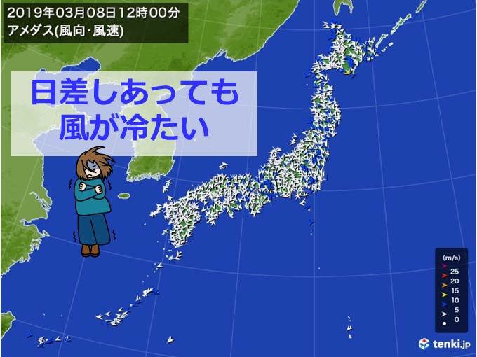 日差し暖か　でも北西風が冷たい