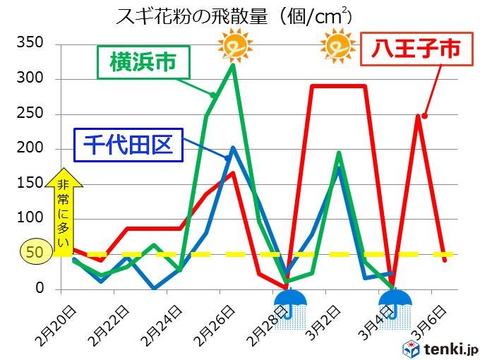 晴れた日は花粉が大量飛散