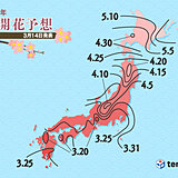桜前線　来週スタート　東京も　日本気象協会発表