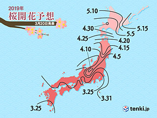 桜の開花・満開予想　東京も間近　日本気象協会発表