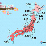 桜の開花・満開予想　東京も間近　日本気象協会発表