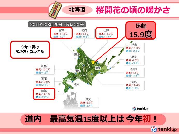 北海道　桜開花の頃の暖かさのち真冬に逆戻り