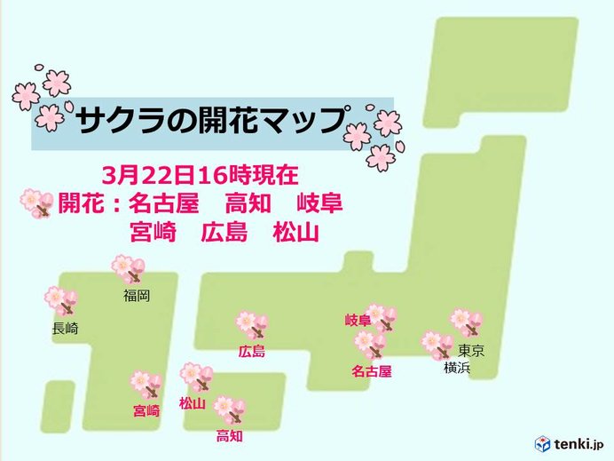 桜が続々と開花　広島や松山、宮崎でも