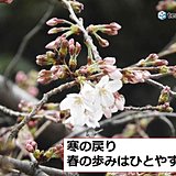 全国　寒の戻り　春の歩み一時停止