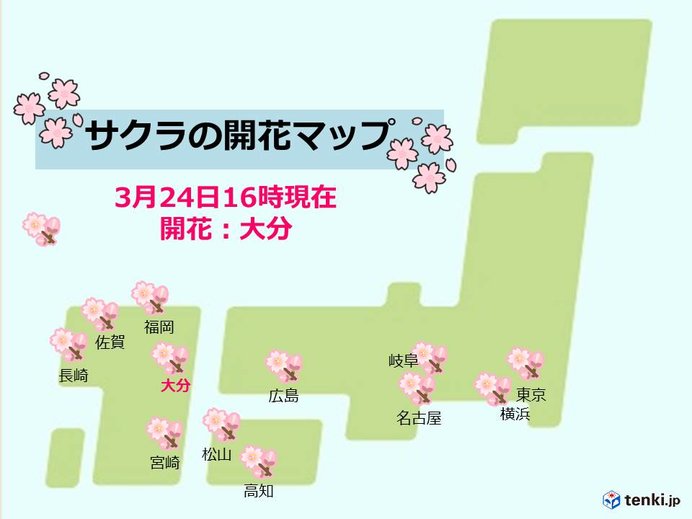 今週には満開を迎える所も