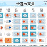 週間　週末は暖かさなく　お花見は傘の用意も