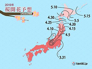 桜前線北上　西・東は来週にかけて見頃　日本気象協会