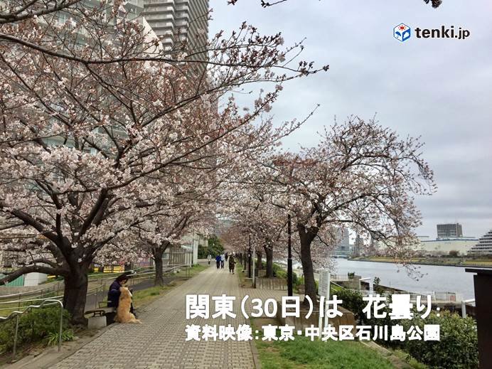 関東30日　花曇り　夜桜は雨と雷雨にご注意