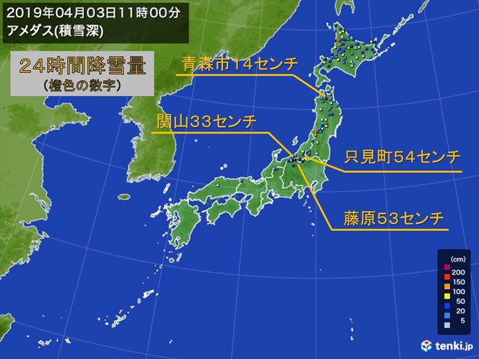 季節外れの寒気居座る　4月としては記録的な雪