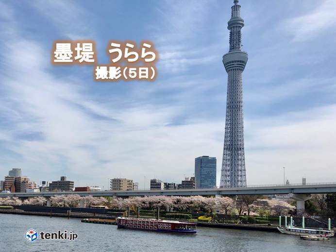 関東はお花見日和、お出かけ日和