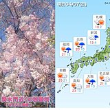 7日は花散らしの雨の所も　局地的に雨脚強まる