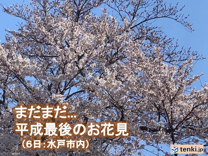7日　北部は来週の週末も