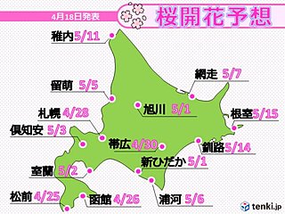 北海道　来週には桜前線が上陸!