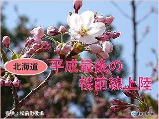 平成最後の桜前線　北海道に上陸!