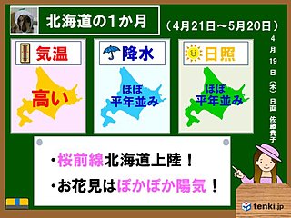 北海道の1か月 ぽかぽか桜日和