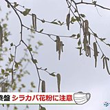 北海道　行楽日和戻るも花粉に注意!!