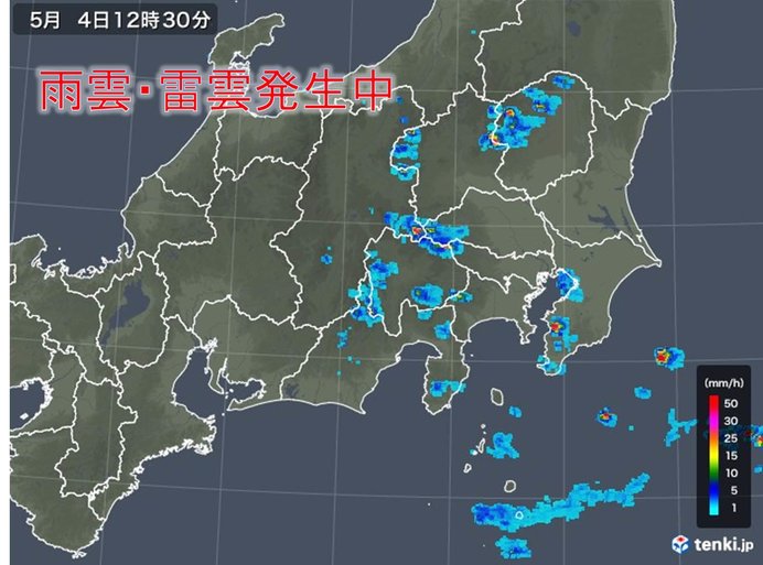 関東甲信や静岡　雨雲発生中　雷雨注意