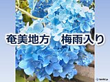令和初の梅雨入り　奄美地方　平年より3日遅く