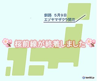 桜前線ついに釧路でゴール