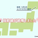 桜前線ついに釧路でゴール