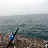 北海道　春のカレイ釣り