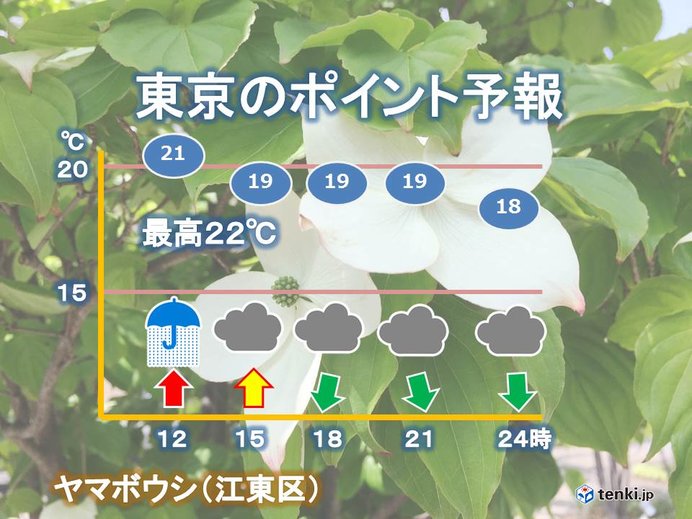 21日　東京　昼頃にかけて大雨と雷、強風