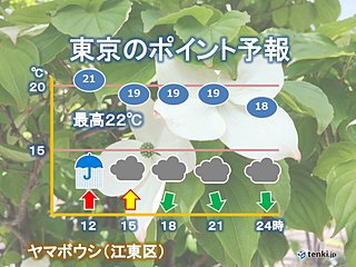 21日　東京　昼頃にかけて大雨と雷、強風