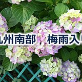 九州南部　梅雨入り　平年と同じ