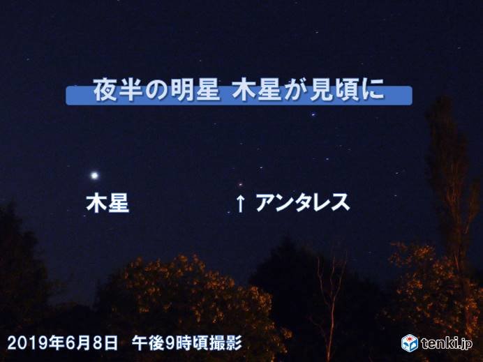 北海道　夜半の明星 木星が見頃に