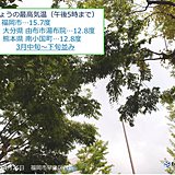 福岡　風が冷たく若葉寒