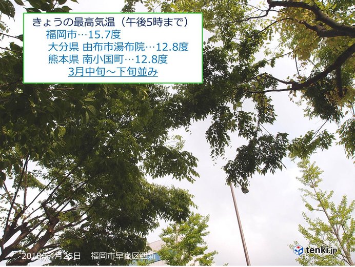 福岡 風が冷たく若葉寒 日直予報士 18年04月25日 日本気象協会 Tenki Jp