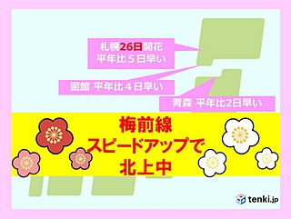今年の「梅前線」 ゴールデンウィーク前に