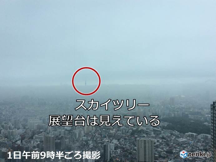 関東 400メートル付近だけ雲がない 雨の降り方は 19年7月1日 Biglobeニュース