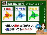北海道の1か月　蒸し暑い夏休み