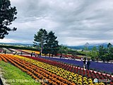 花の季節の北海道は行楽日和に