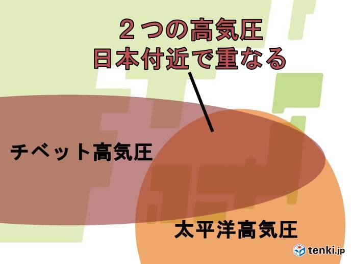 24日(水)以降　太平洋高気圧とチベット高気圧　日本列島を覆う