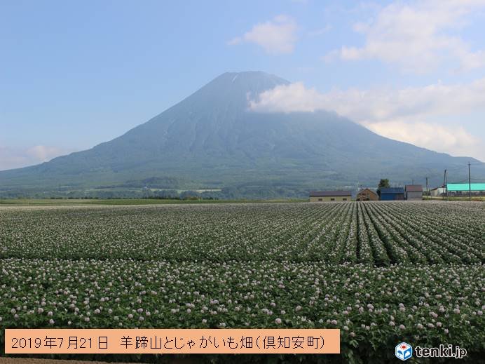 北海道　今週末から厳しい暑さに